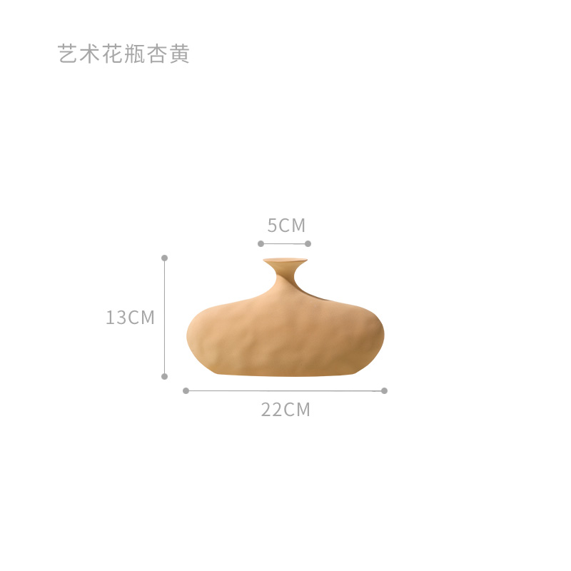 莫兰迪扁平艺术花插秋橘灰 D